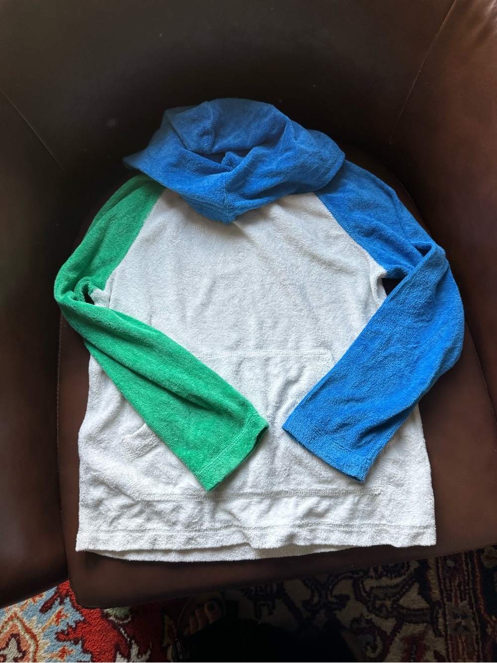 Hanna Andersson Colorblocked Loop Terry Hoodie